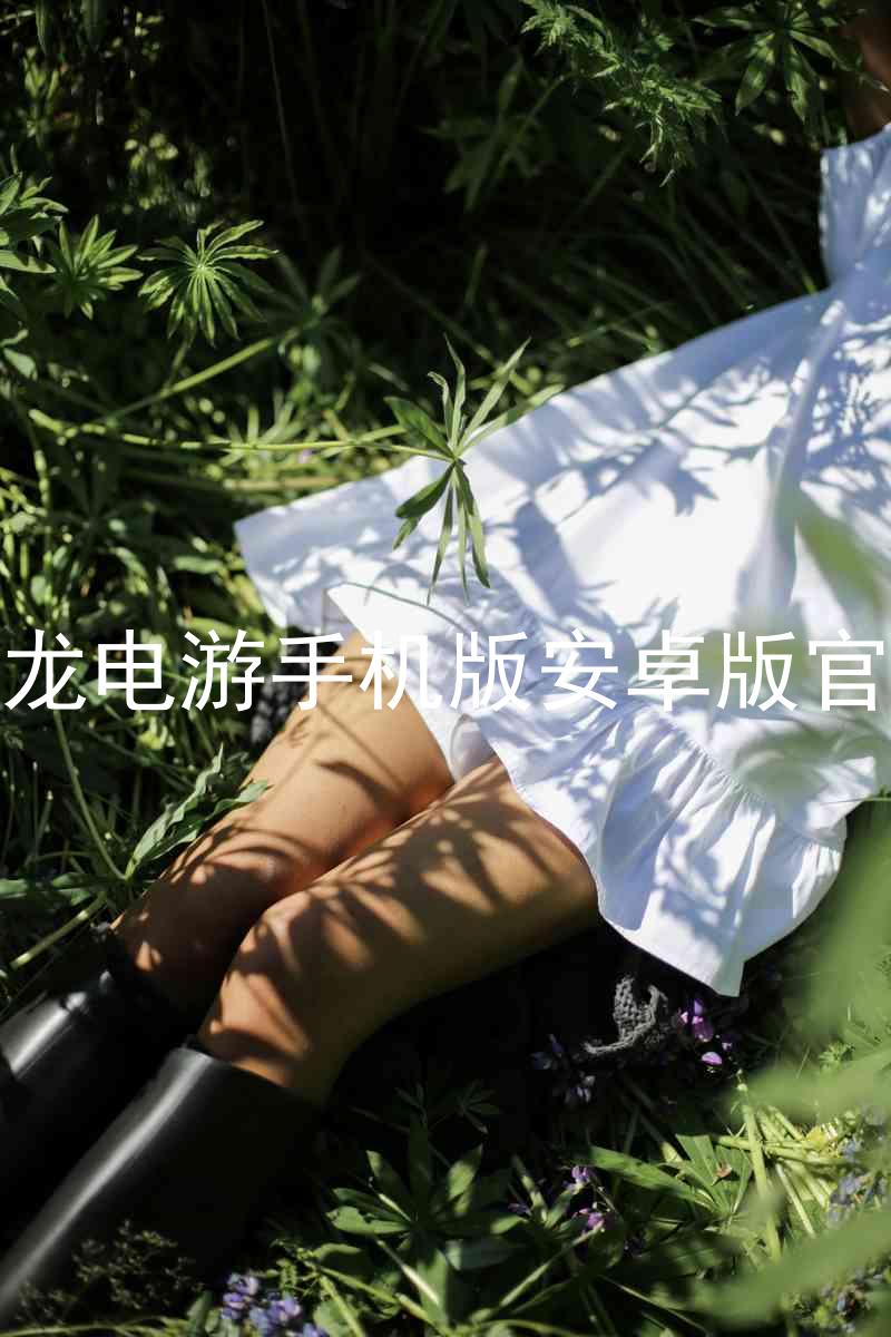 尊龙电游手机版安卓版官网